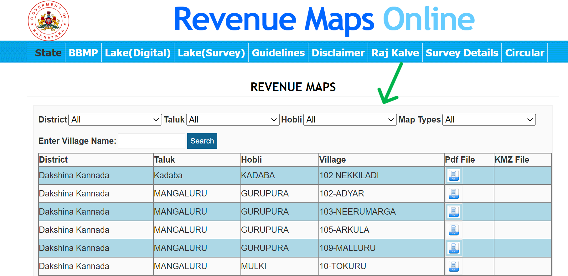 Revenue Maps Online
